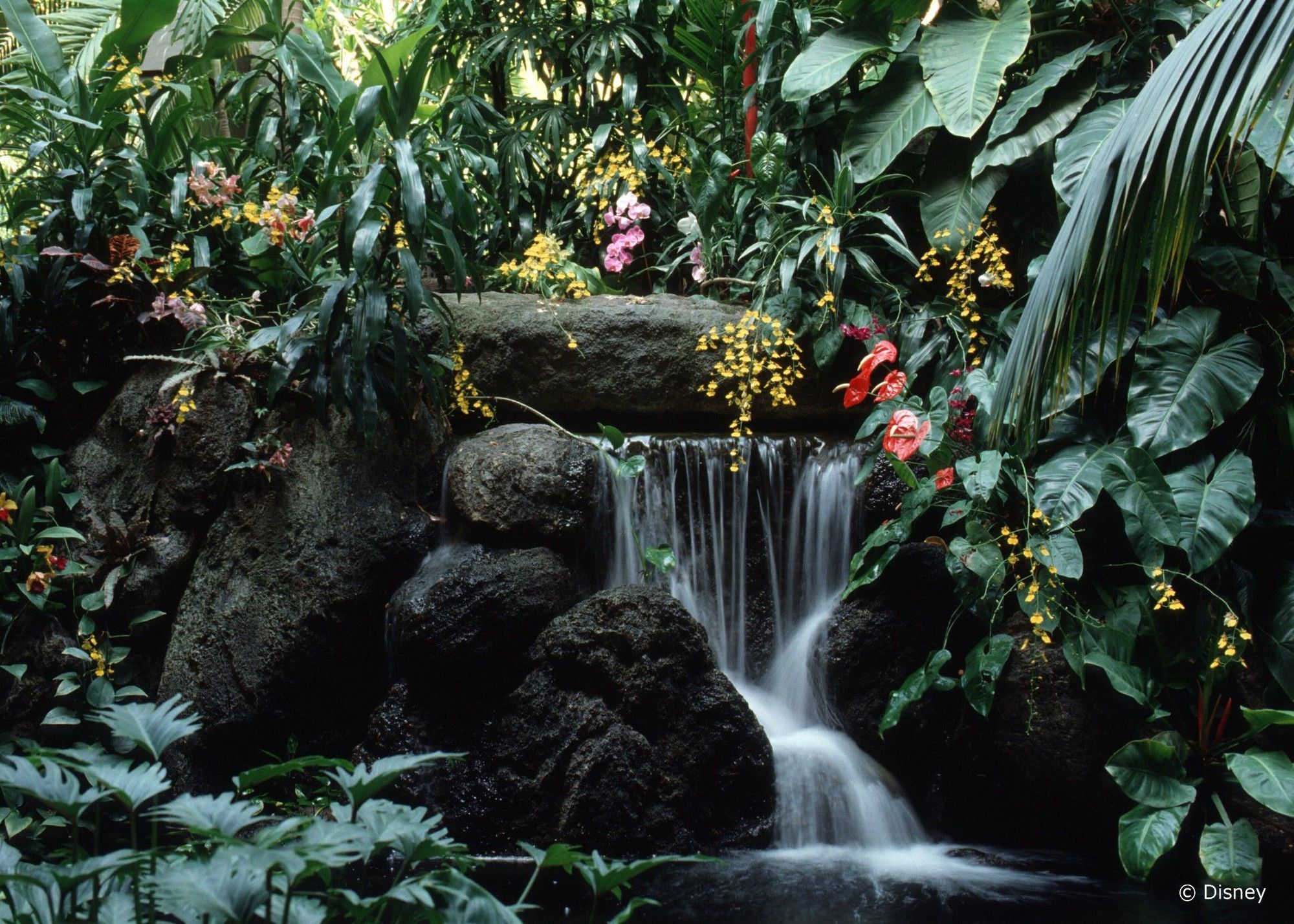 Disney'S Polynesian Village Resort Orlando Dış mekan fotoğraf